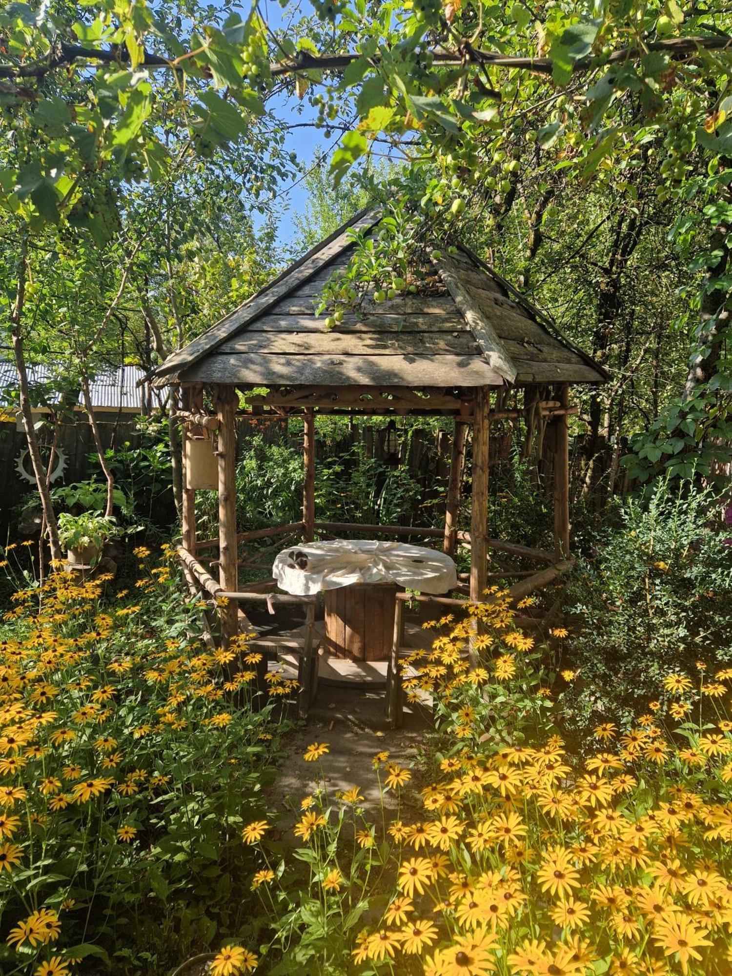 Guest House "Svaneti" Lentekhi Zewnętrze zdjęcie